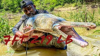 7ft 219 lb Trinity River Aligator Gar RAW FOOTAGE (Dallas Tx)