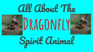 🌹🌙 THE DRAGONFLY SPIRIT🌙🌹Spirit Animal Symbolism