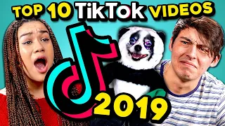 Top 10 Viral TikToks of 2019: Pet & Animal Videos | College Kids React