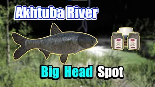 Akhtuba River big head Spot - Russian Fishing 4 #383