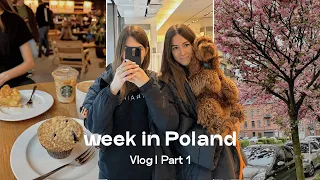 Vlog | Part 1. Поездка с собакой в Польшу, о том как нас депортировали и наша встреча с сестрой 🐶☕️