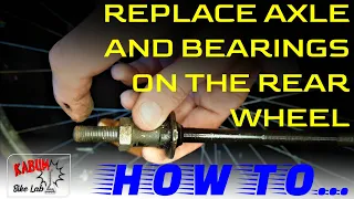 How To Replace Axle And Bearings On The Rear Wheel Hub With Freewheel