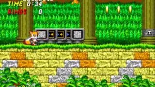 Sonic 2 BRAND NEW LEAF GLITCH