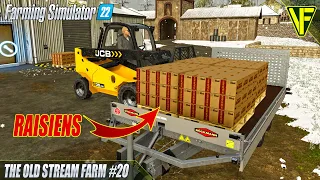 Earning More In The Snow! | The Old Stream Farm | Farming Simulator 22