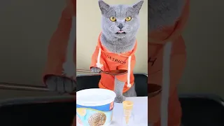 Making Sweet Mini Ice Cream For Hamster!🐹🍧😍 | Cat Cooking Food  #funnycat #catsoftiktok #shorts