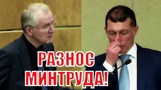 СРОЧНО! Депутат ГД Шеин РАЗНЕС РАБОТУ МИНТРУДА на правительственном часе!