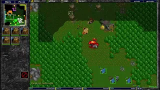 Warcraft 2 Mini Chop Farms 4v4