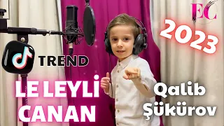 Qalib Sukurov - Le Leyli Canan | Dəli | 2023