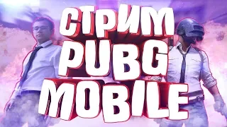 Играем с подписчиками в Pubg Mobile