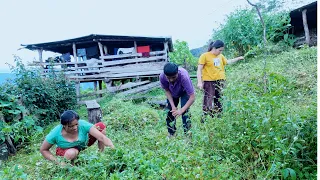 potato after cutting grass || Angel sister cooks boil potato after helping sarmila @bhumicooking