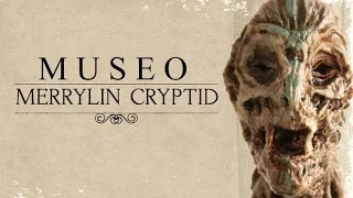 Museo Merrylin Cryptid y su macabro arte