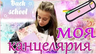 ЗАКУПАЮСЬ МИЛОЙ КАНЦЕЛЯРИЕЙ В АШАНЕ / BACK TO SCHOOL 2019 / МОЯ КАНЦЕЛЯРИЯ