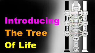 The Tree of Life: A Beginner's Guide [Esoteric Saturdays]