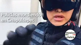 Arne aus den Ruthen | Policías azules mordiendo en Chapultepec