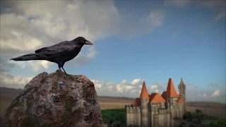 Hunedoara castle (Corvin Castle)