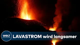 LA PALMA: Kurz vor dem Atlantik -  Zweiter Lavastrom wird deutlich langsamer