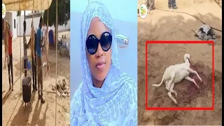 Ndeyssane: Médinatoul Salam, Regardez à quoi ressemble le magal chez Sokhna Aida Diallo