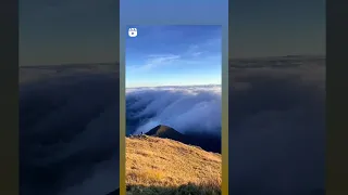 Mt. Pulag is famous for its sea of clouds and its view of the Milky way galaxy at dawn. ❤️❤️❤️