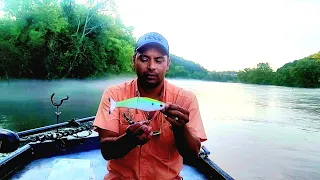 HUGE STRIPED BASS DESTROYS MY BAIT!