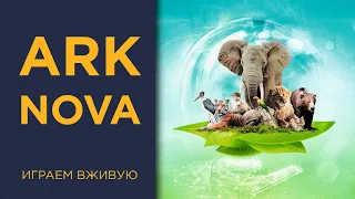 Ark Nova — Играем вживую