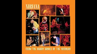 Nirvana - Aneurysm (Live At Del Mar Fairgrounds, CA, December 28, 1991)