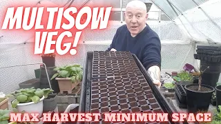 Multisowing Vegetables [Gardening Allotment UK] [Grow Vegetables At Home ]