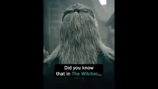 Did You Know that in The Witcher...