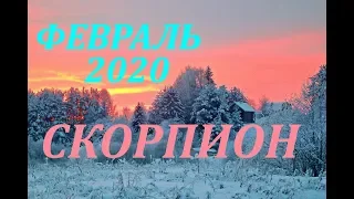 СКОРПИОН. ФЕВРАЛЬ 2020г. САМЫЙ ПОДРОБНЫЙ ПРОГНОЗ на месяц.