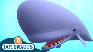 @Octonauts - The Scared Sperm Whale 🐋 | Series 2 | Full Episode 10 | Cartoons for Kids