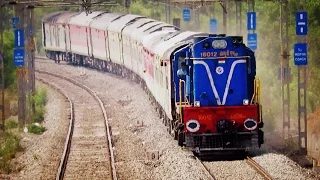 Crazy Honkers - Indian Railways Loco Horn Show !!