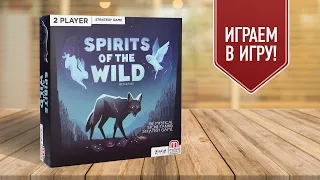 SPIRITS OF THE WILD: Играем в красивую настольную игру на двоих! ЛУЧШИЕ ИГРЫ НА ДВОИХ