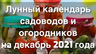 ЛУННЫЙ КАЛЕНДАРЬ САДОВОДОВ И ОГОРОДНИКОВ на ДЕКАБРЬ 2021 года