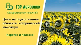 Цены на подсолнечник обновили исторический максимум. TOP Agrobook: обзор аграрных новостей