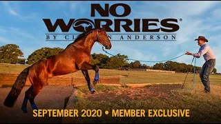 September NWC Preview: Academy Horse Training Diary