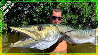 Giant Barracuda *Totally Unexpected Catch!!! {Catch Clean Cook} Authentic Island Recipe