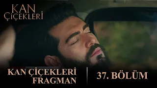 Kan Çiçekleri 37. Bölüm Fragmanı