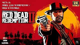 Прохождение Red Dead Redemption 2 — Часть 16: Ловец душ человеческих / Овцы и козлища