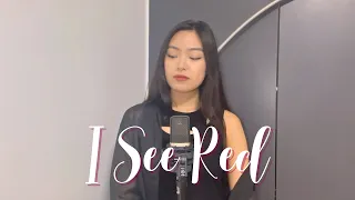 Everybody Loves An Outlaw - I See Red (Cover)