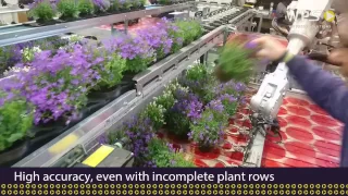 3D Pick up and replace robot for the horticulture