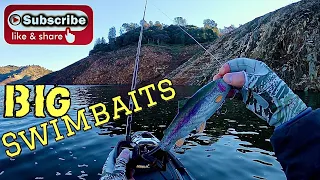 Throwing BIG SWIMBAITS all day for Monster Bass! (Winter Bass Fishing)