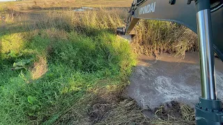 LIMPANDO VALETÃO BEM SUJA DE MATOS🌿 Escavadeira hidráulica op iago