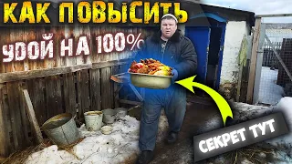 Кормление и содержание коровы.  Как повысить удой 100% ???  Жизнь в деревне.