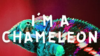 Olivia Addams - Chameleon (Instrumental | Tekst / Lyrics)