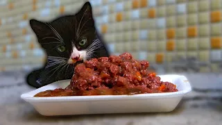 Tiny Kitten Encountered Food Larger Than Its Size and Ran Away From Its Mom To Eat It | Lucky Paws