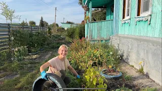 ПЕРВЫЕ ОСЕННИЕ ДНИ В ДЕРЕВНЕ/ПОСАДИЛА КЛУБНИКУ/ВЯЛЮ ПОМИДОРЫ/ГОЛУБЦЫ В ЛИСТЬЯХ МАНГОЛЬДА