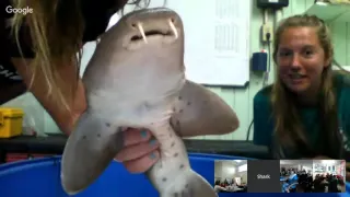 Sharks4Kids Shark Science at Bimini Sharklab