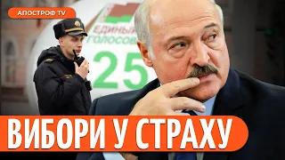 Фіктивні ВИБОРИ у Білорусі. Лукашенко йде у ПРЕЗИДЕНТИ | Латушко