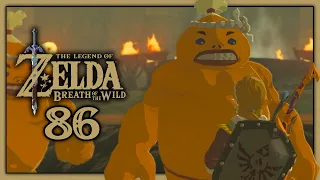 The Legend of Zelda: Breath of the Wild || #86