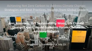 Achieving Net Zero Carbon to Address Climate Change with Ann Rosenberg