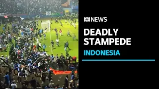 Spectator ban considered after 174 die in Indonesian stampede | ABC News